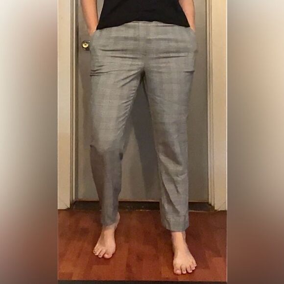 Rachel Zoe elastic waist suit pants. Size XLP - Picture 1 of 6